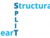 Split-Structural-Heart-Logo_White-Background-Final